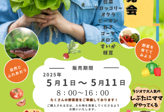 まるっと新鮮館 苗大特売会