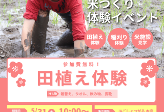 米づくり！参加者募集！！