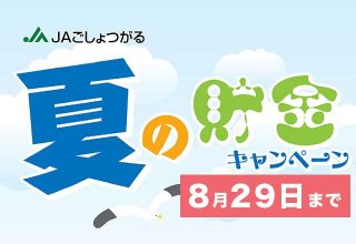 夏の貯金キャンペーン