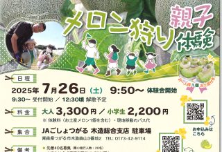 「親子メロン狩り体験」参加者募集！！